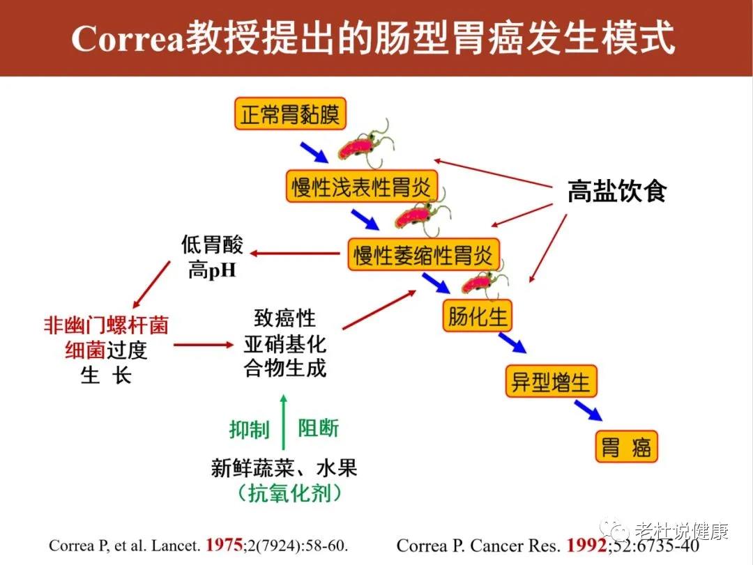 幽门螺杆菌治疗后，一定要复查！不然，癌变了都不知道